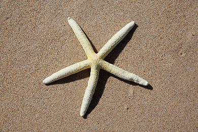 KK对战平台RPG地图淘金计划震撼开启  《爆战兄弟》三大活动瓜分现金大奖